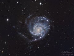 M101